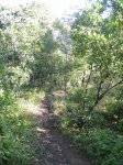 IMG_4061 [Desktop .JPG