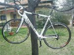 canyon_CF_2..jpg