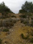 Torre en Conill 4.jpg