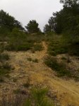 Torre en Conill 6.jpg