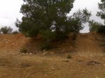Torre en Conill 1.jpg
