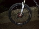 nocturna5 (Medium.jpg