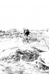 100_19456..jpg