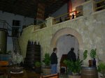 Visita a Vins Nadal   6-03-2010 001.JPG
