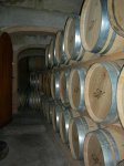 Visita a Vins Nadal   6-03-2010 005.JPG
