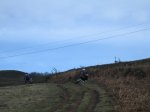 IMG_9059..JPG