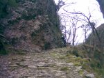 Banduxu6-3-10 (22)&.jpg