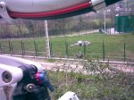 Banduxu6-3-10 (2)..jpg