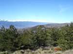 03 S Nevada..jpg