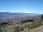 05 S Nevada..jpg