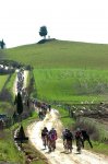 200-PIC91728355..jpg
