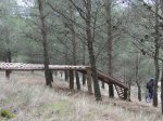 evil trail 054..jpg
