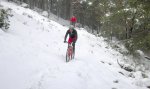 DSCN1276..JPG