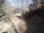 IMG046..jpg