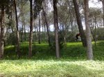 070320102110..jpg