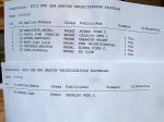 DSC04384..JPG