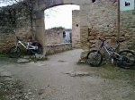 07032010395.jpg