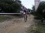 P1010017 (Custom)..jpg