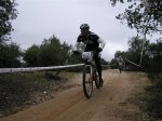 P1010031 (Custom)..jpg