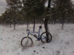 Foto0075..jpg