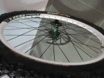 IMG_0756..jpg