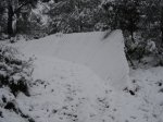 DSC09731..JPG
