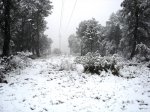 DSC09724..JPG
