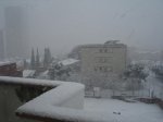 DSC07375..jpg