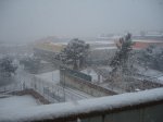 DSC07373..jpg