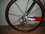 DSC01260..jpg