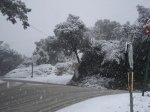 DSC04662..jpg