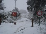 DSC04665..jpg