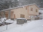 DSC00536.jpg