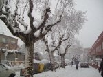 110_2935..jpg