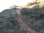 senda nueva 009..jpg