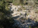 senda nueva 006..jpg
