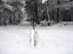 yeti2..jpg