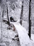 snow2..jpg