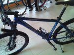 IMG186..jpg