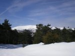IMGP4978.jpg