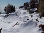 110_0022..jpg