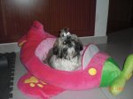 CIMG3377_800x600..JPG