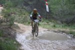 IMG_8664 a..jpg