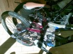 09032010(003)..jpg