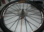 DSC00078..JPG