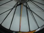 DSC00079..JPG