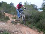 SDC10696b..jpg