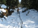 IMG_1587..JPG