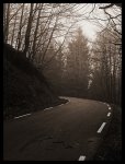 DSC03382 (1)..jpg