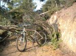 mtbb 048..jpg